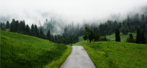 我们的路直通向谜一样的地方。