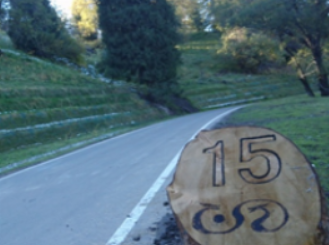 盘龙松与那拉提（阳光之地）浓缩为logo（标志），讲述着动人故事。