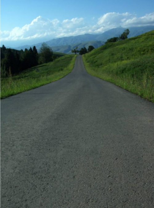 每条路上总有这样一段直线，引领着你的目光，遥望远方，让你感动。