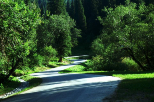 但蜿蜒而上的曲线永远是公路美的重要元素。