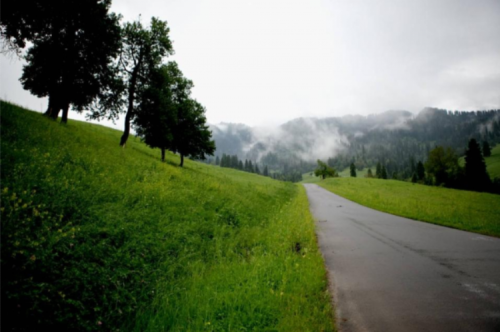 彩云升起的地方，顺着我们的路就能到达。