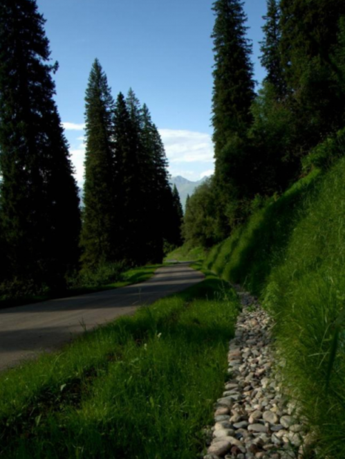 援疆干部讲述新疆故事那拉提，永远在路上