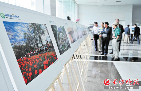 昨日，长沙市首届两型社会建设摄影作品展开展，吸引了不少市民驻足。长沙晚报记者 王志伟 摄