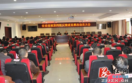 桑植县召开省委巡视第四组反馈意见整改动员大会
