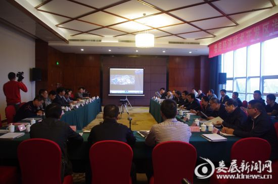 湖南省<娄底>汽车板及零配件产业合作对接会现场 彭敏/摄