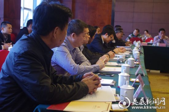 湖南省<娄底>汽车板及零配件产业合作对接会现场 彭敏/摄