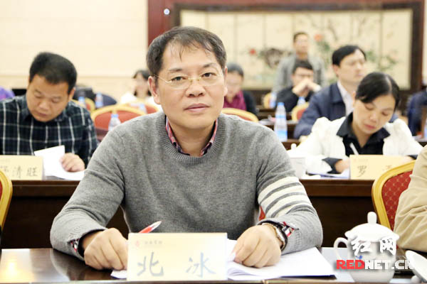 湖南省政协委员、省远景经济发展研究院院长北冰。