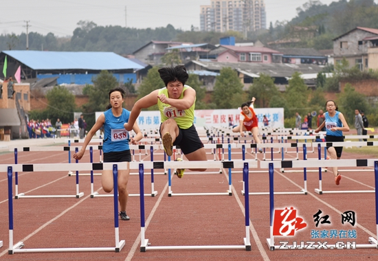 张家界市五运会赛场火热比拼 赛事花絮精彩呈现(组图)