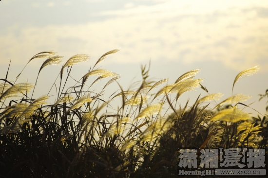 公园1.jpg