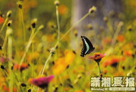 公园2.jpg