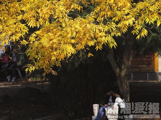 公园3.jpg