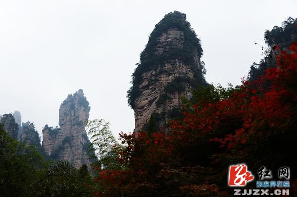 张家界武陵源晚秋美景妩媚醉人