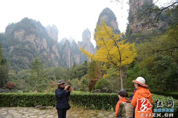 张家界武陵源晚秋美景妩媚醉人