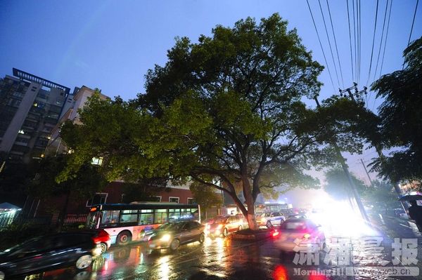 huangj1511520_nEO_IMG.jpg