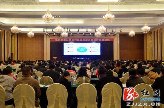 张家界市500余人参加公共机构能源资源消费统计制度培训