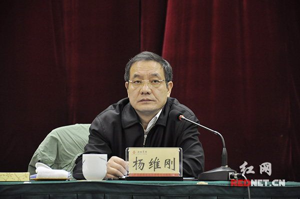 湖南省政协副主席杨维刚主持会议