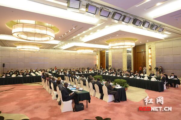 11月13日下午，湖南省对非投资合作推介会在长沙举行