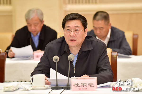 湖南省委副书记、省长杜家毫出席并讲话。