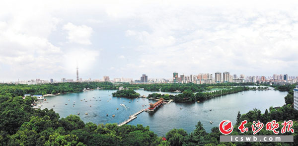 长沙晚报记者 李锋 摄