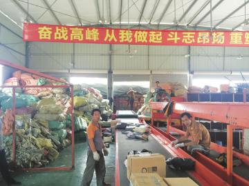 双11落幕大波包裹逼近快递员发动家人帮送（图）