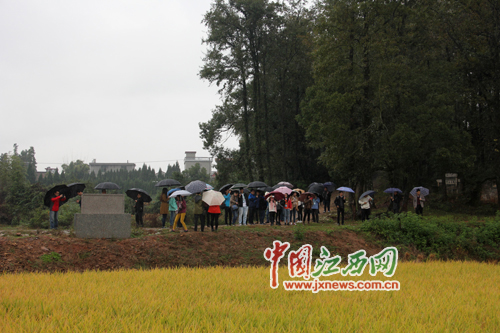 网媒记者参观青原区2014年高标准农田项目区