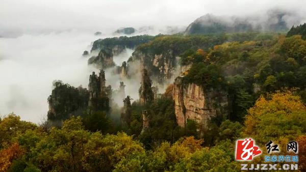 张家界天子山初冬云海胜仙境（组图）