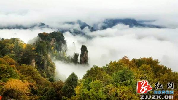 张家界天子山初冬云海胜仙境（组图）