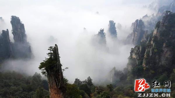 张家界天子山初冬云海胜仙境（组图）