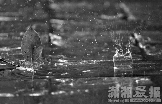 降雨.jpg