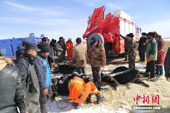 由于落水牦牛被牢牢的冻在冰面上，救援人员首先要进行破冰作业，战士们利用消防斧、铁铤等工具下到刺骨的冰水中，将牦牛进行固定后利用抢险救援车牵引至岸。