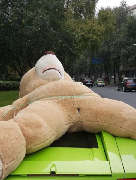成都街头一豪车载超大号毛绒熊被交警查处