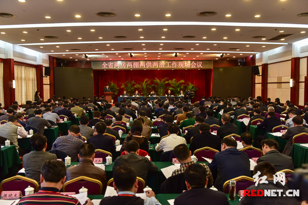 11月18日，湖南省“两房两棚、两供两治”工作现场会议在岳阳市召开。