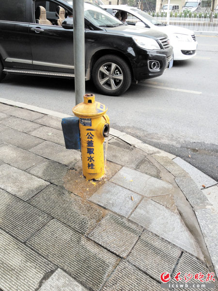 五一大道上，一个可以公益取水的消火栓也长期在漏水。均为长沙晚报记者 刘军 摄