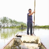 捕蟹