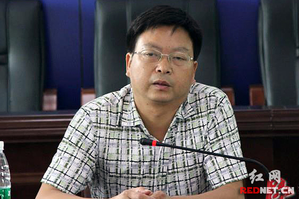 益阳市赫山区区委常委、宣传部长杨凯波。