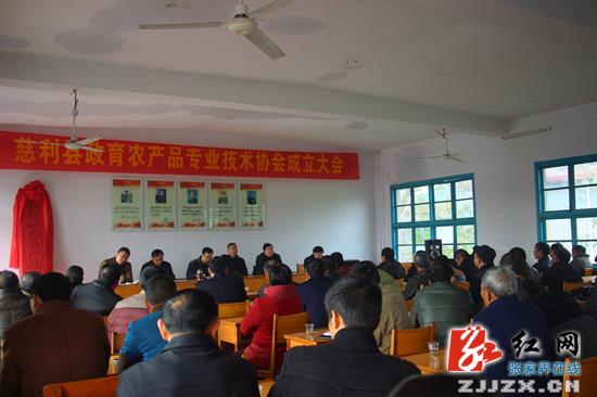 湖南省唯一农村专业技术协会改革试点单位落户景龙桥乡