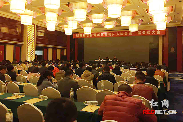 11月26日下午，湖南省农村青年致富带头人协会第一届会员大会在长沙举行。