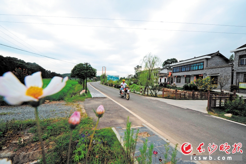 长沙盛开文明之花:淳了 乡风 乐了 乡民 美了乡村