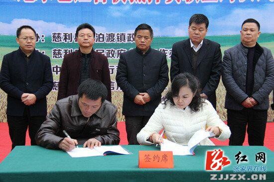 慈利：普惠金融“入基层” “草根金融”助力经济发展