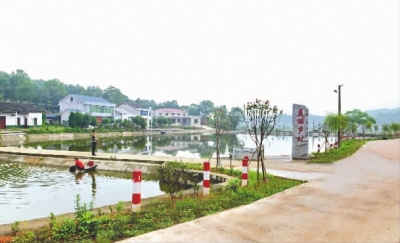 金龙镇狮岭村一角。