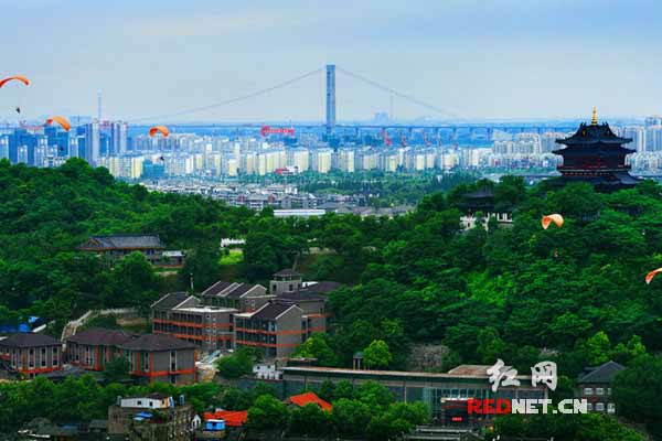 资料图片：森林城市镇江被称为“一座美得让人吃醋的城市”。