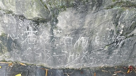 重庆一公园岩壁遭乱刻字老太劝阻被骂多管闲事