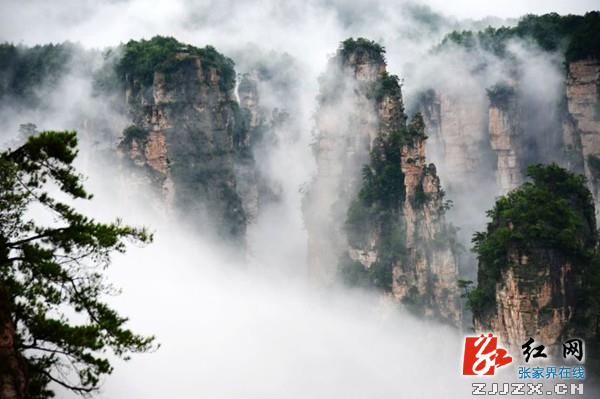 张家界市武陵源区摘取“绿色中国城市奖”