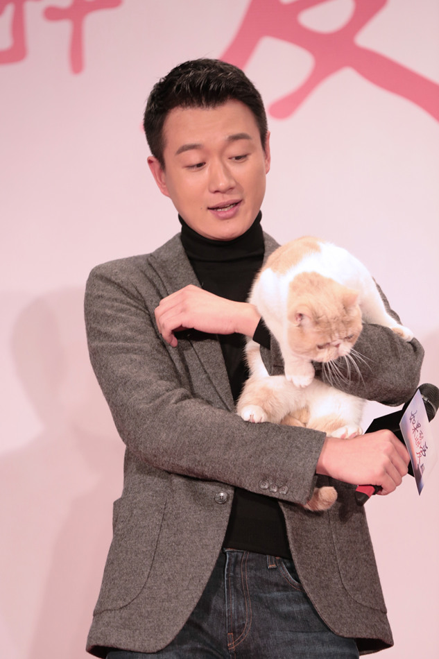 佟大为有爱怀抱猫咪