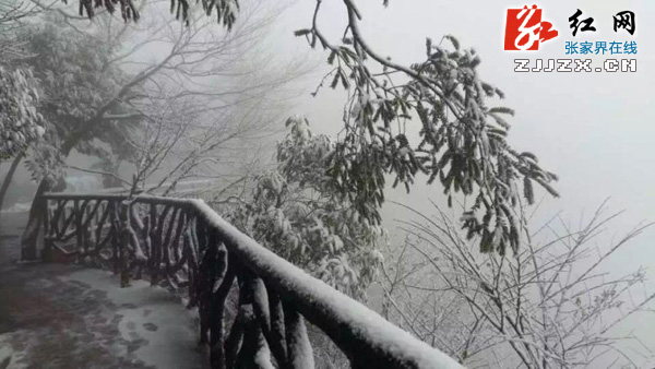 张家界天门山降下今冬第一场雪（图）