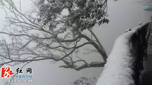 张家界天门山降下今冬第一场雪（图）