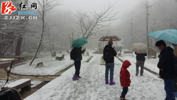 张家界天门山降下今冬第一场雪（图）
