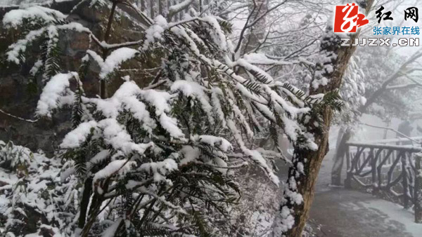 张家界天门山降下今冬第一场雪（图）