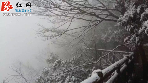 张家界天门山降下今冬第一场雪（图）