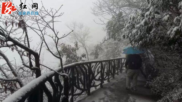 张家界天门山降下今冬第一场雪（图）